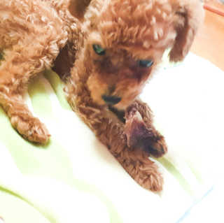 anntiiii님이 올린 리뷰 사진 2