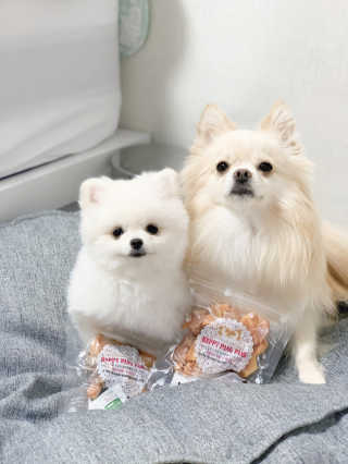 콩두부자매님이 올린 리뷰 사진 1