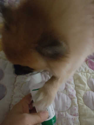 KyoungmiSong님이 올린 리뷰 사진 4