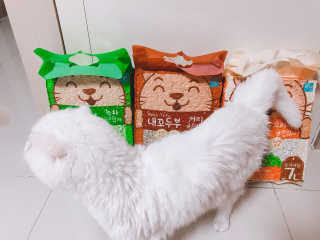 sd0816님이 올린 리뷰 사진 1