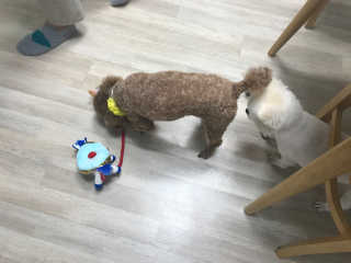 이성민님이 올린 리뷰 사진 4