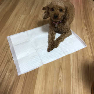 몽글몽글님이 올린 리뷰 사진 2