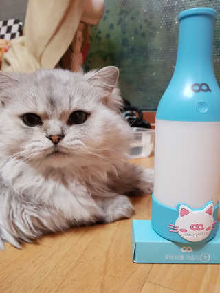 이영실님이 올린 리뷰 사진 3