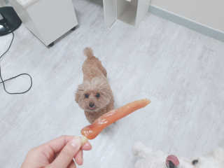라움이님이 올린 리뷰 사진 1
