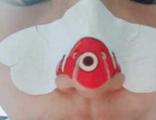 나이팅게일 TAKO PACK NOSE [문어코팩] — 5점을 준 리뷰어가 2018년 5월 올린 사용 사진