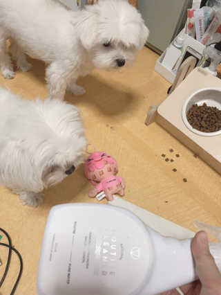 새초미님이 올린 리뷰 사진 1