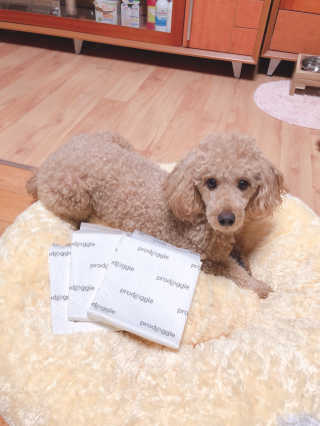 songyn님이 올린 리뷰 사진 1