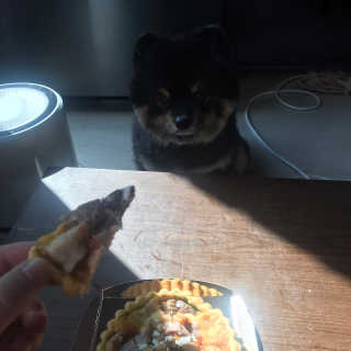 정아님이 올린 리뷰 사진 3
