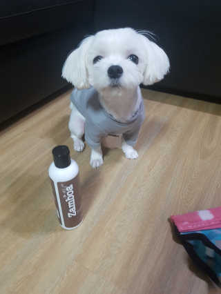 블링데코님이 올린 리뷰 사진 1