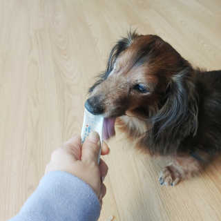 benny님이 올린 리뷰 사진 2