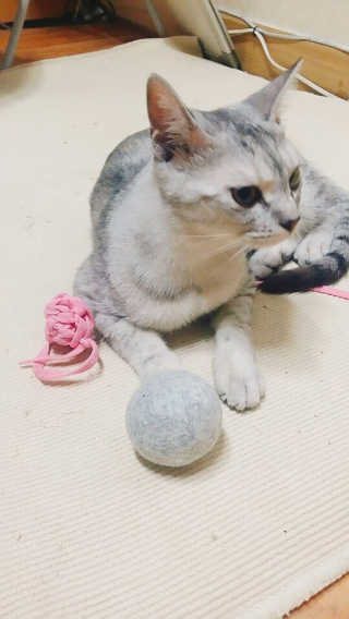 으콩님이 올린 리뷰 사진 3