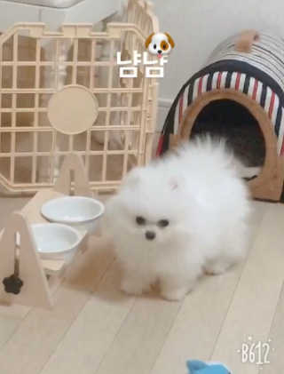 옌짱님이 올린 리뷰 사진 4