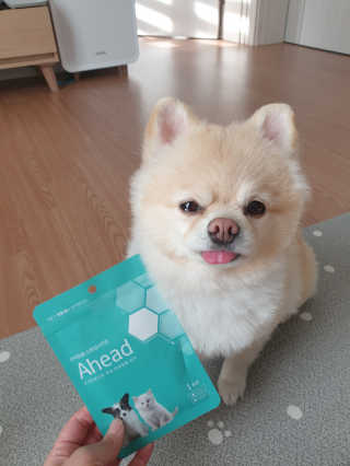 bangwoori님이 올린 리뷰 사진 1
