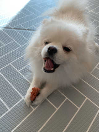 단미콘님이 올린 리뷰 사진 1