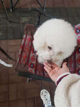 꾸꾸엄마님이 올린 리뷰 사진 1
