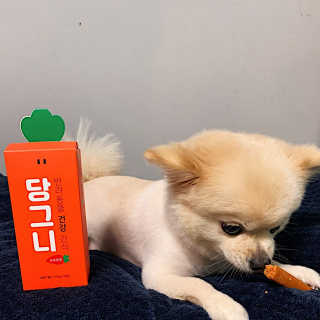 spring님이 올린 리뷰 사진 3