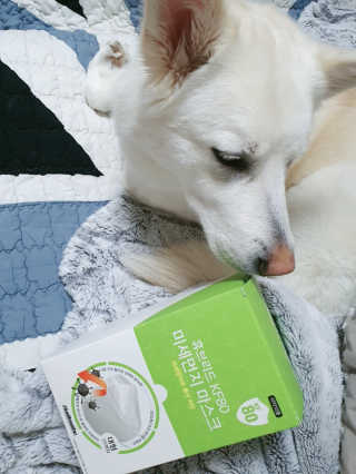 딸랑구둘🥰님이 올린 리뷰 사진 1