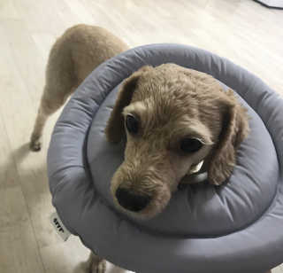 이형은님이 올린 리뷰 사진 1