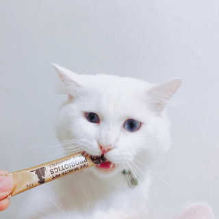 공실이님이 올린 리뷰 사진 1