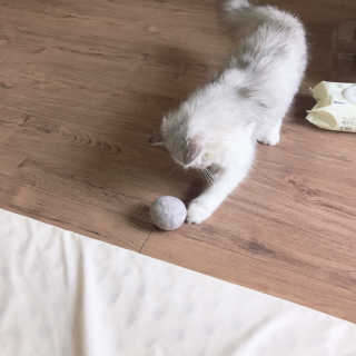yuni님이 올린 리뷰 사진 2