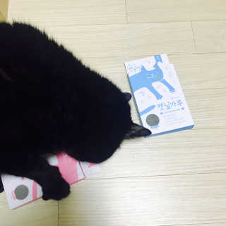 한비님이 올린 리뷰 사진 2