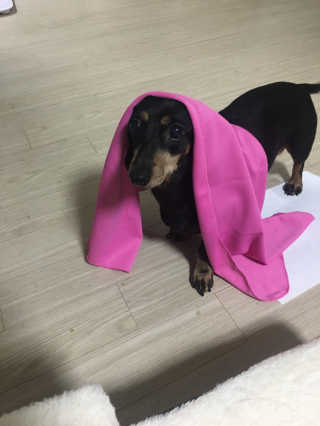 민블리님이 올린 리뷰 사진 1