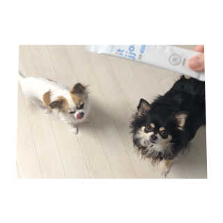 은쓸님이 올린 리뷰 사진 3