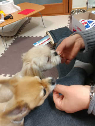 시유예린님이 올린 리뷰 사진 3