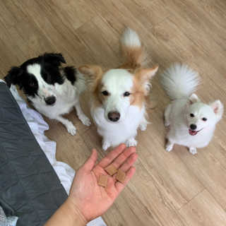 떡볶이죠아님이 올린 리뷰 사진 3