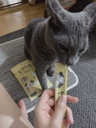[펫토리아]짜먹는 한입뚝딱 강아지.고양이 마약간식 — 4점을 준 리뷰어가 2019년 8월 올린 사용 사진