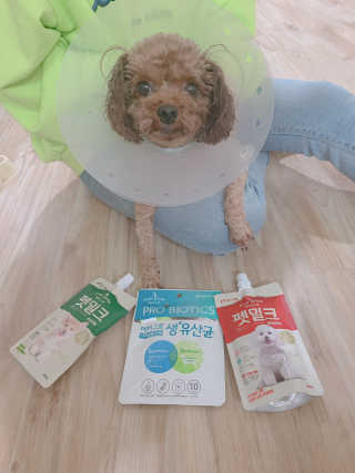 [빙그레] 에버그로 생유산균 1봉（10포입）+펫밀크2팩 — 5점을 준 리뷰어가 2019년 5월 올린 사용 사진