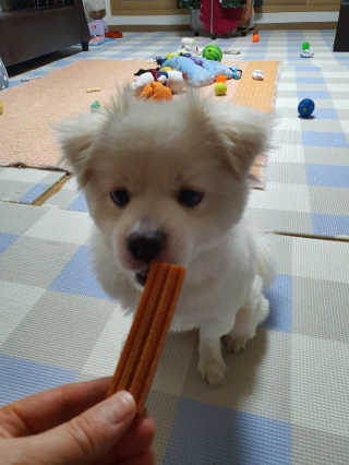 주여니이님이 올린 리뷰 사진 3