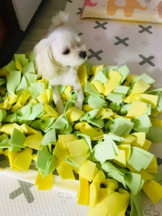 이지혜님이 올린 리뷰 사진 1