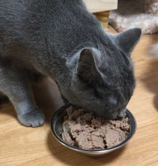 융융이님이 올린 리뷰 사진 2