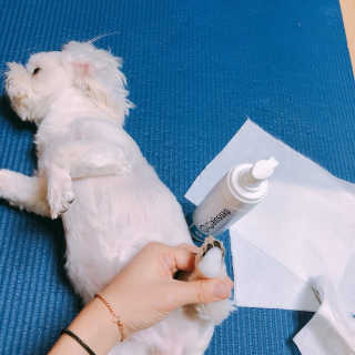 김부건님이 올린 리뷰 사진 4