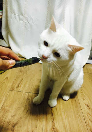 noname님이 올린 리뷰 사진 4