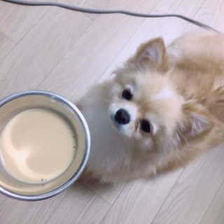 이지은님이 올린 리뷰 사진 1