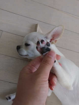 문띠님이 올린 리뷰 사진 2