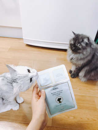 오래오니뚜님이 올린 리뷰 사진 1