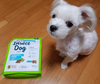 이수진님이 올린 리뷰 사진 1