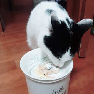 한라봉님이 올린 리뷰 사진 1