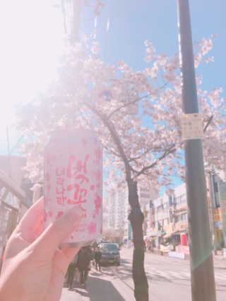 재님이 올린 리뷰 사진 1