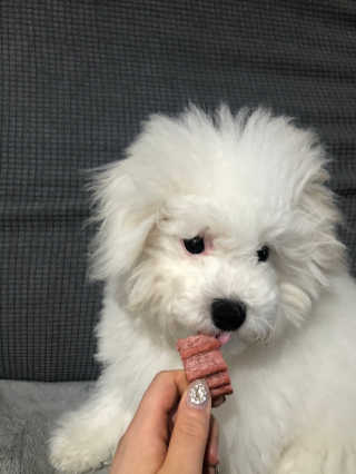 kmakmsss님이 올린 리뷰 사진 3