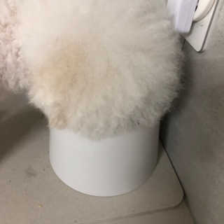 석하나린님이 올린 리뷰 사진 1