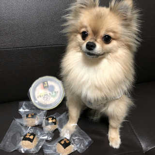 Ariel님이 올린 리뷰 사진 3