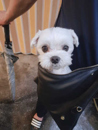 콩이님이 올린 리뷰 사진 2