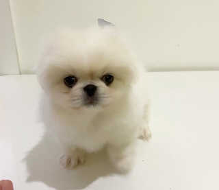 림이님이 올린 리뷰 사진 3