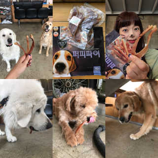 조언니님이 올린 리뷰 사진 1
