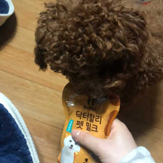 닥터할리펫밀크 8종 — 5점을 준 리뷰어가 2019년 1월 올린 사용 사진