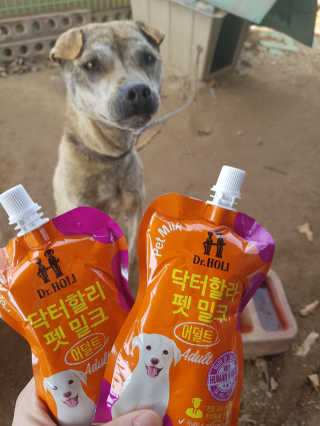 로롸님이 올린 리뷰 사진 2